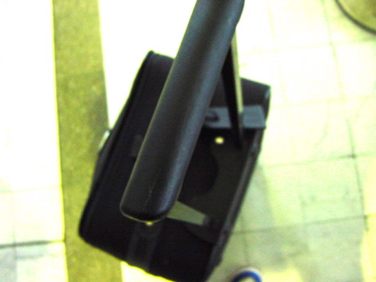 DSC00184.JPG