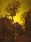 DSC00116.JPG